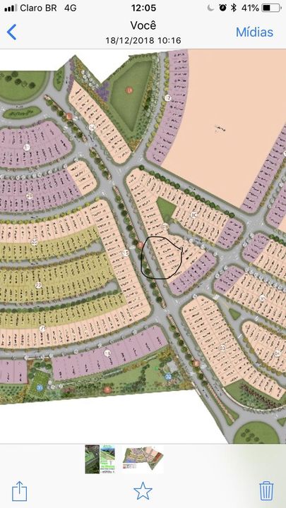 Foto - Ribeirão Preto - Parque das Oliveiras